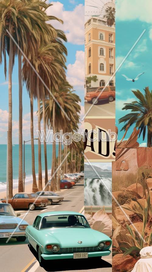 Palm Trees and Vintage Cars by the Beach