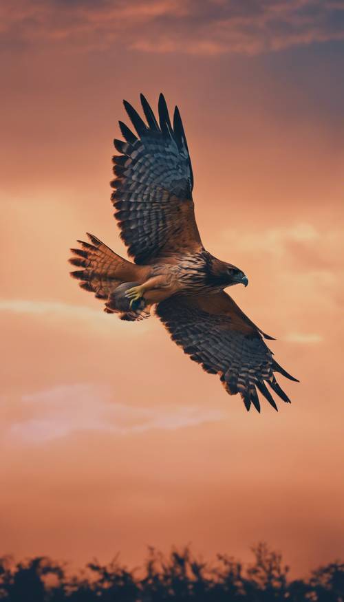 Un falco a tema ombre che vola contro un cielo ombreggiato, passando dall&#39;arancione crepuscolo nella parte inferiore al blu notte nella parte superiore.
