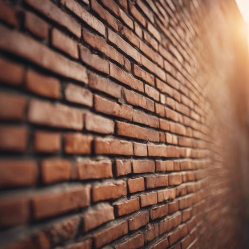 Uma parede de tijolos marrons perfeitamente construída, beijada pelos suaves raios do sol nascente.