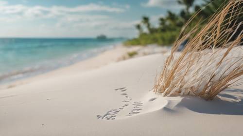 Une plage de sable blanc et une eau bleue cristalline avec la citation « Le bonheur vient par vagues ».