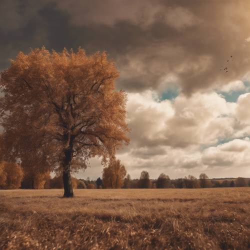 Nuvens cúmulos marrons sobre uma paisagem campestre pacífica no final do outono.