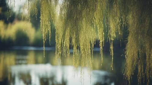 A weeping willow by a placid pond, its drooping branches forming a motivational quote.