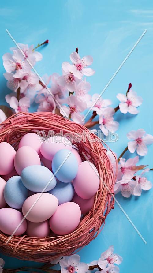 Uova di Pasqua e fiori di ciliegio sul blu