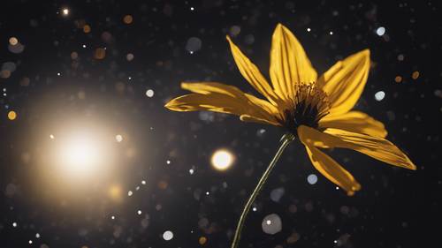 A softly glowing yellow star radiating light against a deep inky black cosmos.