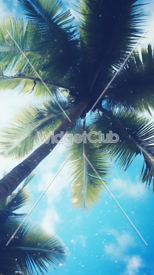 Paraíso tropical con cielo azul y palmeras.
