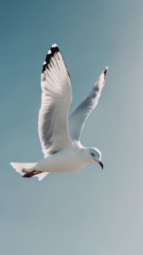 Um céu azul cristalino com uma gaivota solitária voando graciosamente.