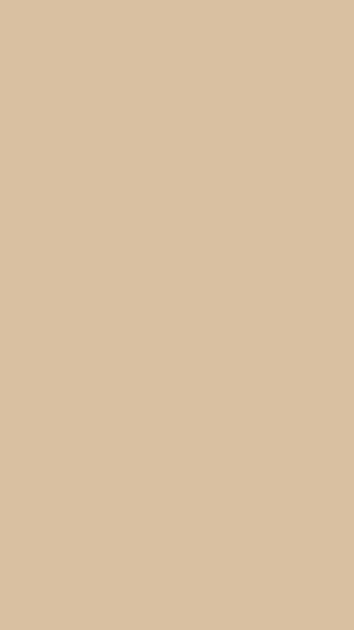 Beige Wallpaper [80fcab7af37f497f9a10]