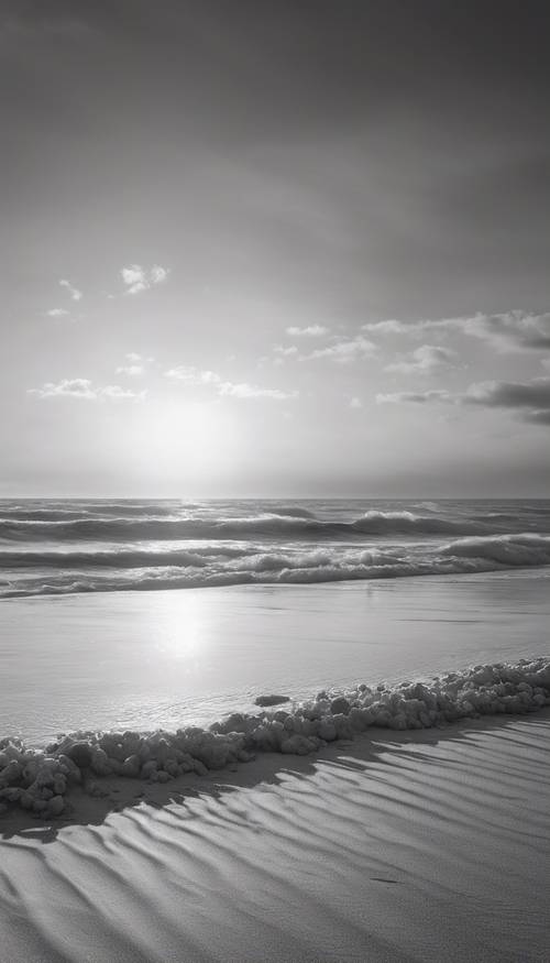 日出時廣闊的海灘的單色圖像，輕柔的海浪拍打著海岸。