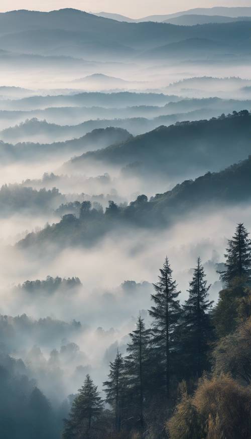 A tranquil morning landscape of a foggy blue mist settling over a secluded mountain range