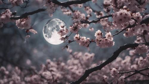 Przydymiony, duszny księżyc spoglądający na spokojną scenę czarnych kwitnących wiśni.