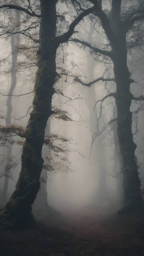 Una spettrale, fitta foresta oscura avvolta da uno spesso strato di nebbia.