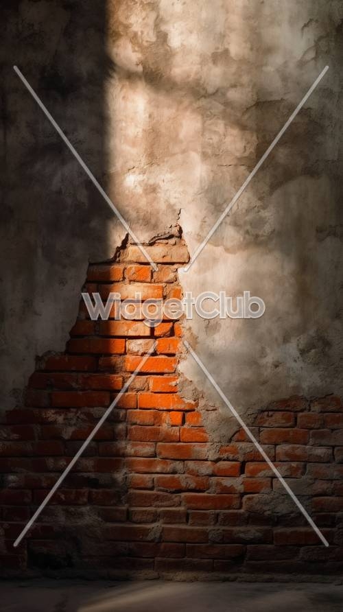 Sunlit Old Brick Wall Detail壁紙[6c5ef4ea90c641d68e77]