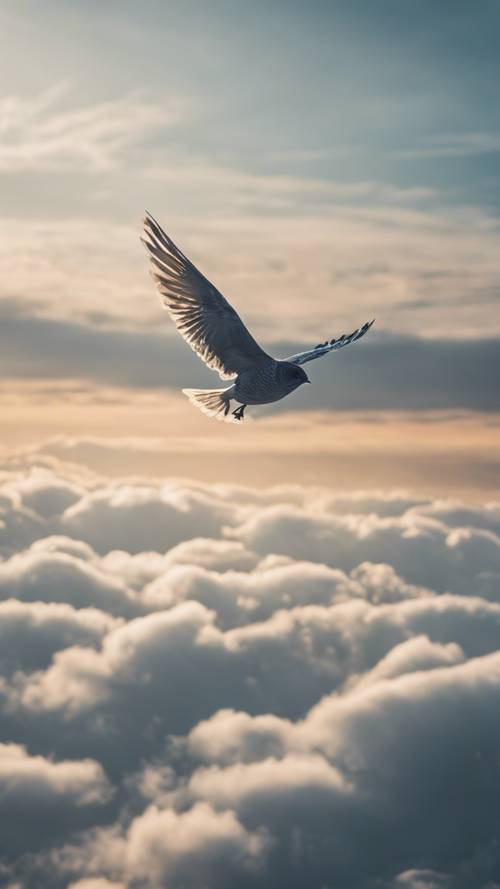 Auf einem einzelnen Vogel hoch über den Wolken steht „Grenzen existieren nur im Kopf“.