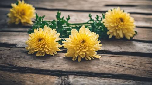Yellow chrysanthemums on an old wooden table in a vintage setting.