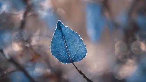 Un ritratto di una foglia blu che attende pazientemente l&#39;avvicinarsi della primavera.