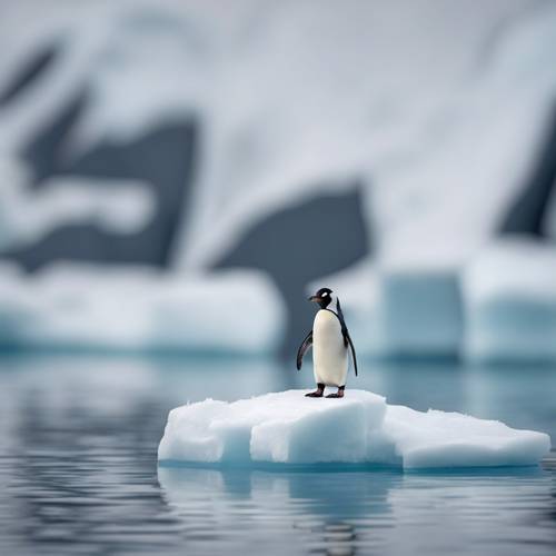 Un pulcino di pinguino solitario in piedi su un piccolo iceberg, raffigurato in uno stile minimalista.