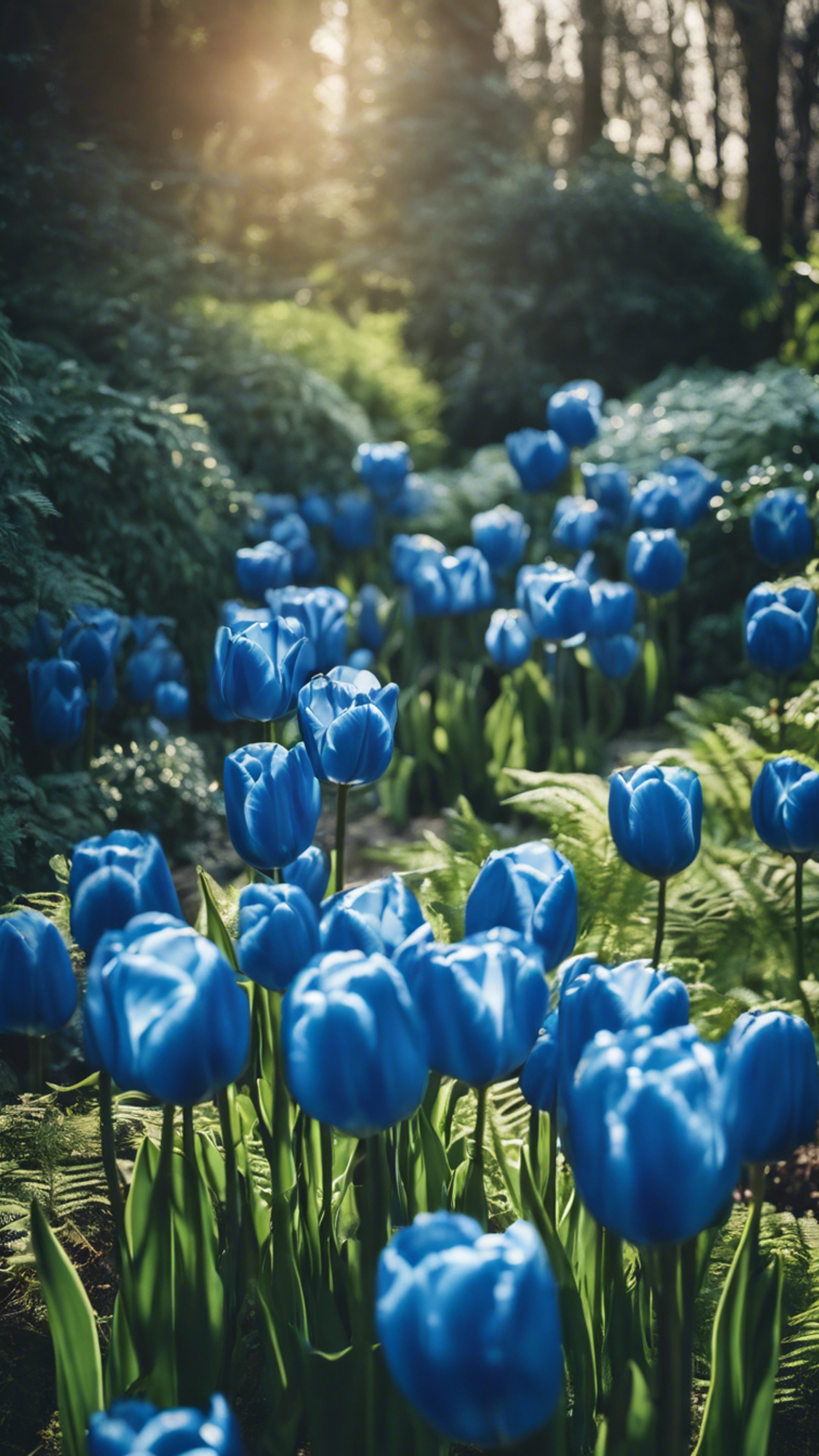 A vibrant illustration of blue tulips amidst ferns and ivy in a garden at the crack of dawn. טפט[e8b6b27cf94f4f81bdac]