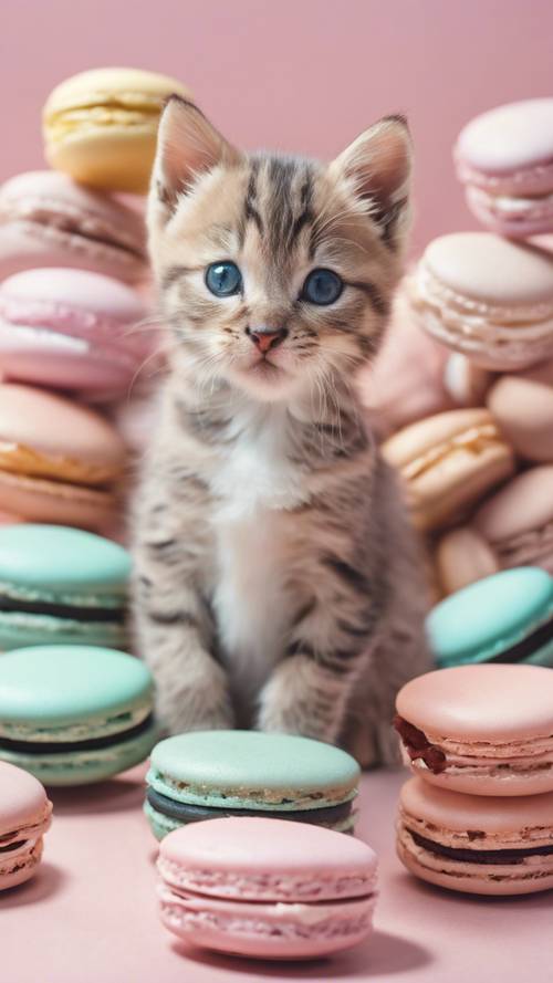 Un adorable chaton assis sur une pile de macarons aux couleurs pastel.