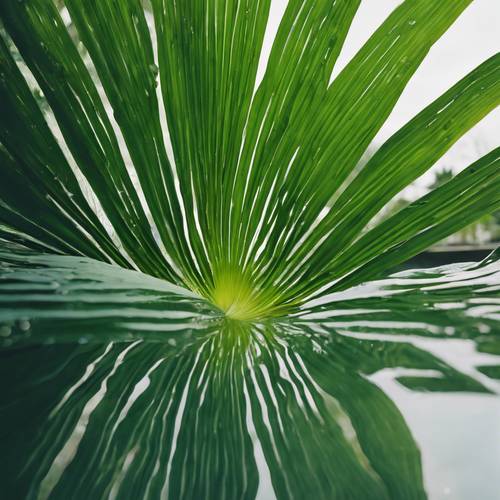Green palm leaf reflected in the calm surface of a garden pond.