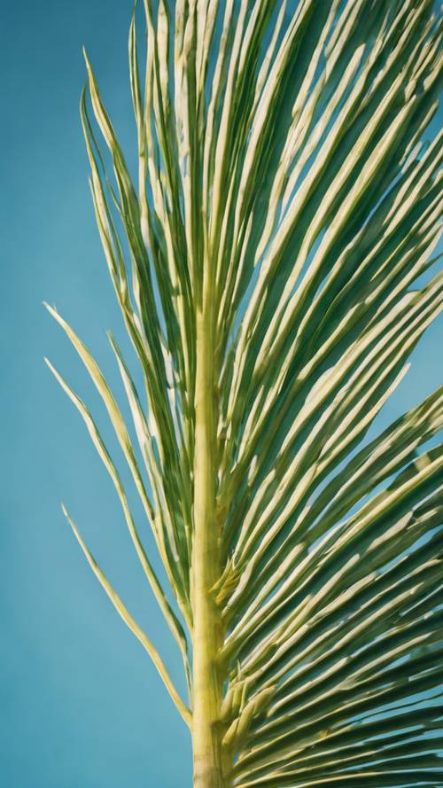 A freshly sprouted palm leaf, still curled up, against the blue sky.