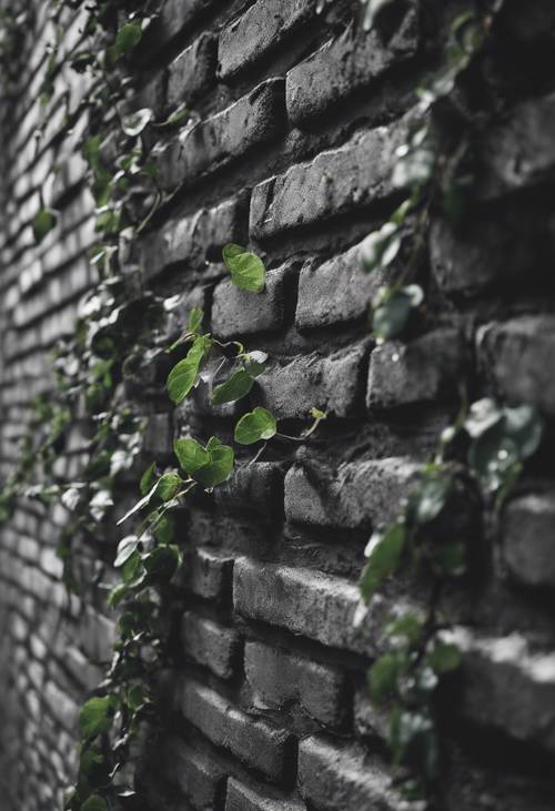 A black and gray brick wall with vines growing on it.