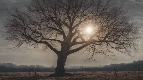 Uma árvore nua sob um eclipse, a citação &#39;A depressão é um fantasma vivo&#39;.