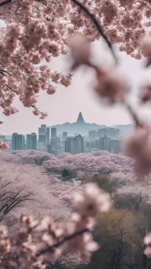 Kiraz çiçeği mevsimindeki Pekin silüeti, narin çiçeklerle çerçevelenmiş modern şehir.