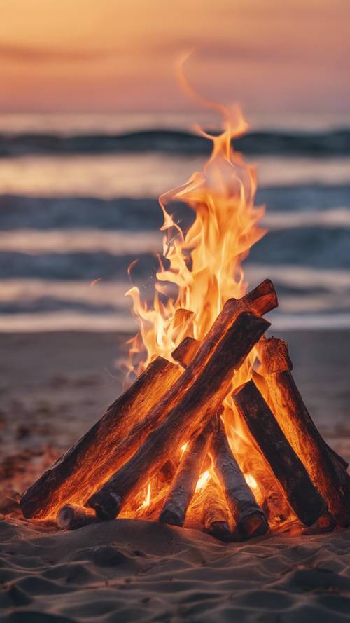 黃昏時分，海灘中央熊熊燃燒的營火。