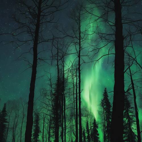 A dark forest bathed in the soft, undulating northern lights shimmering in the night sky.