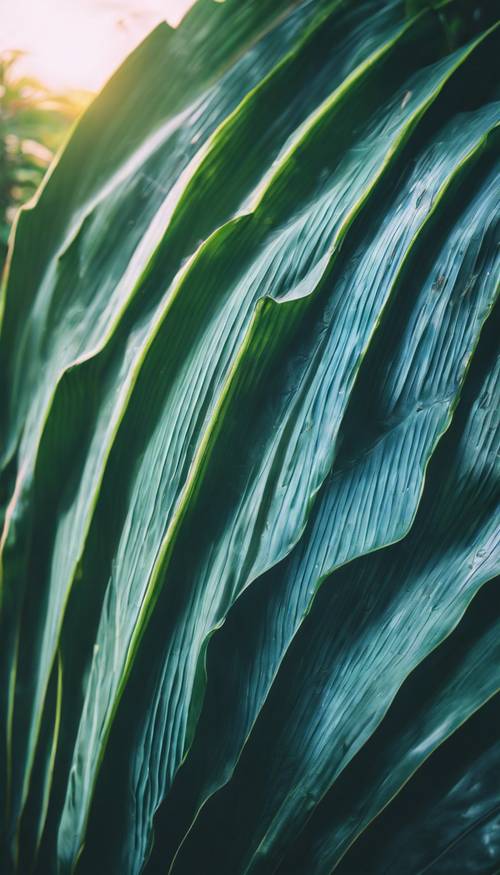 Blue banana leaf in a lush tropical jungle bathed by warm sunlight.