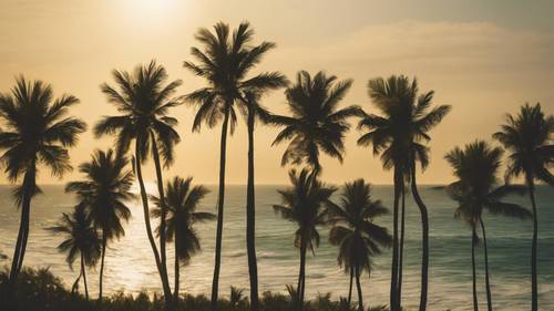Uma fileira de palmeiras verdes contra um sol amarelo se pondo sobre o oceano.