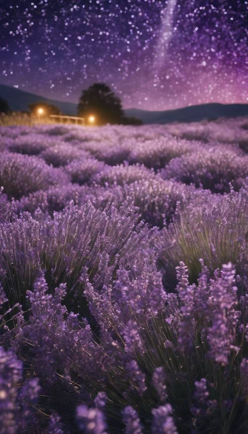 Ladang lavender metalik di bawah kelap-kelip malam berbintang. Wallpaper [fa8ec79bce3f40829e8c]