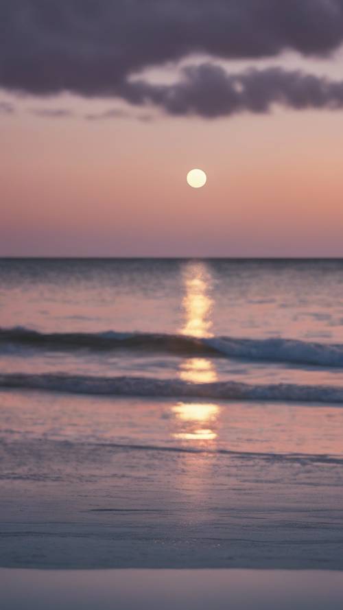 ليلة مقمرة هادئة في جزيرة آنا ماريا، حيث يضيء الشاطئ بوهج القمر.