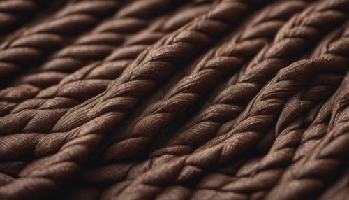 A close-up view of dark brown textured woven fabric.