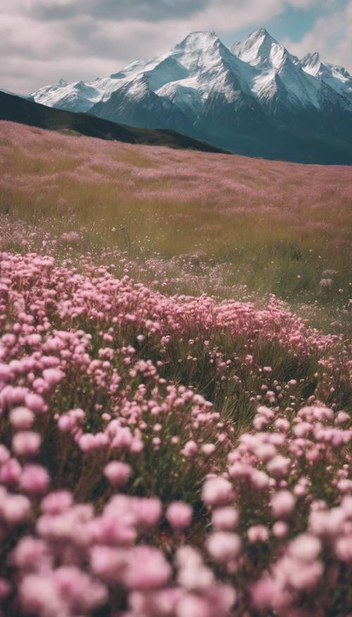 Ośnieżona różowa góra stojąca wysoka pośród łąki polnych kwiatów.