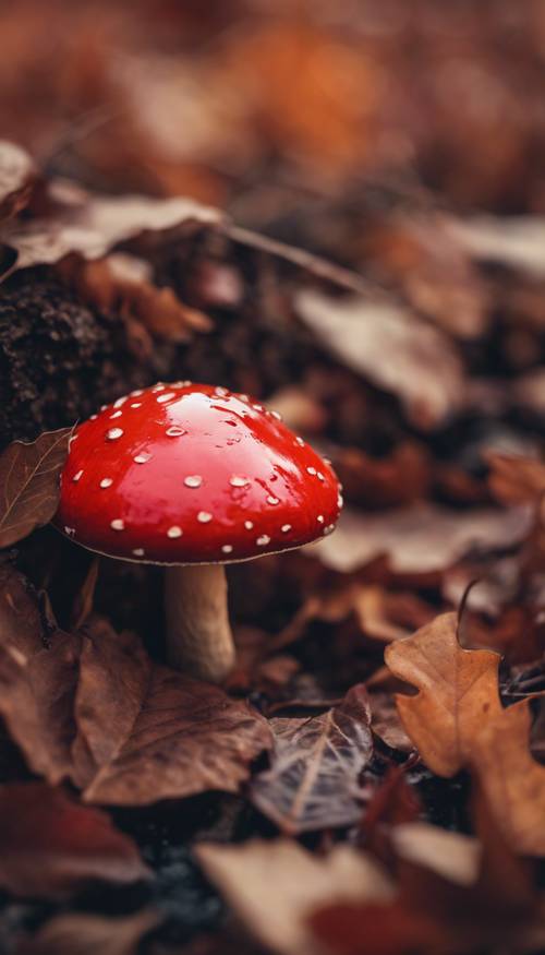 Czerwony grzyb zagnieżdżony wśród opadłych jesiennych liści, odzwierciedlający kolory pory roku.