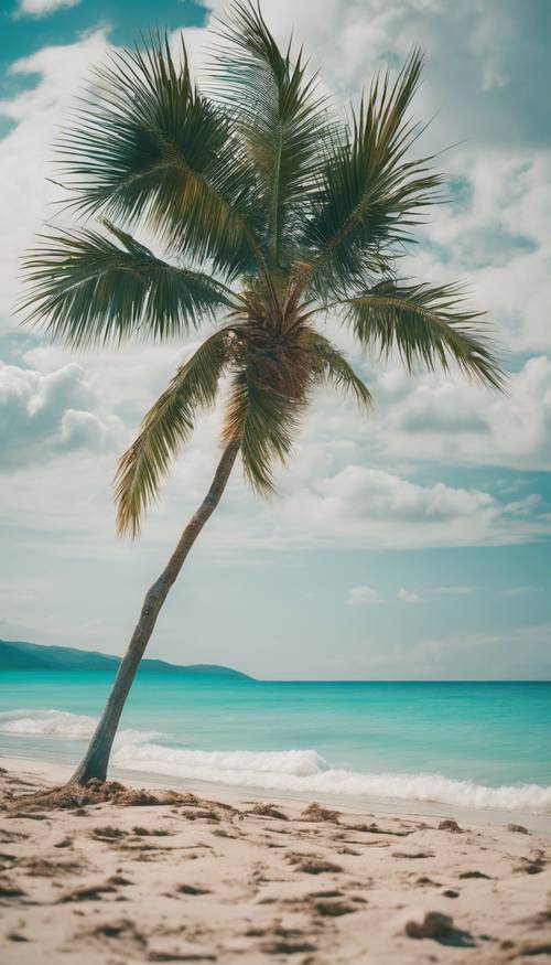 Sebuah pohon palem terpencil di pantai berpasir murni, dengan latar belakang laut biru kehijauan yang cerah.