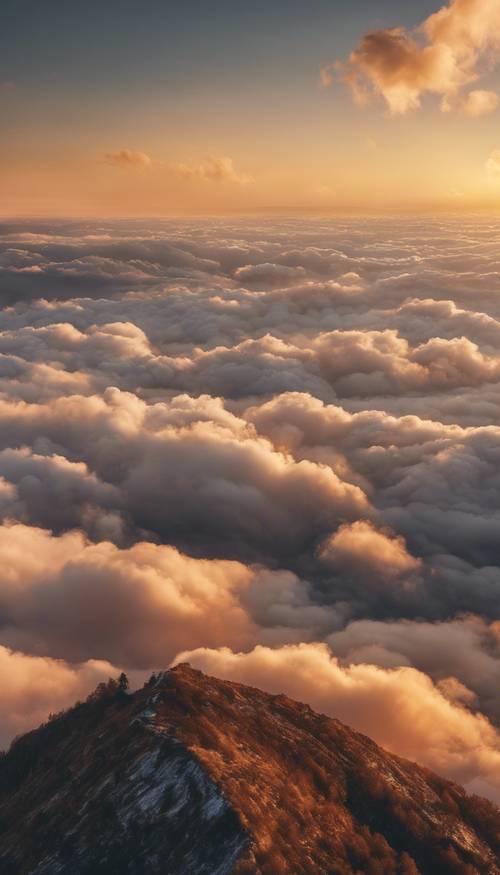 Вид с горной вершины на восходе солнца: все небо покрыто слоем слоисто-кучевых облаков золотистого цвета. Обои [a5f57f90bdfe4c03a749]