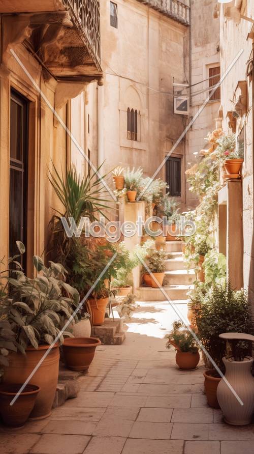 Bitkiler ve Çiçeklerle Güneşli Sokak