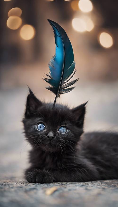 一只黑色的小猫，活泼好动，试图抓住悬在它上方的一根彩色羽毛。