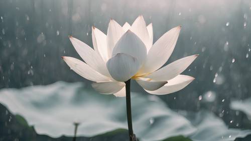 Una scena surreale di un loto bianco che apre i suoi petali in mezzo alla nebbia.