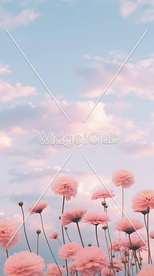 粉紅色的雲和花的天空