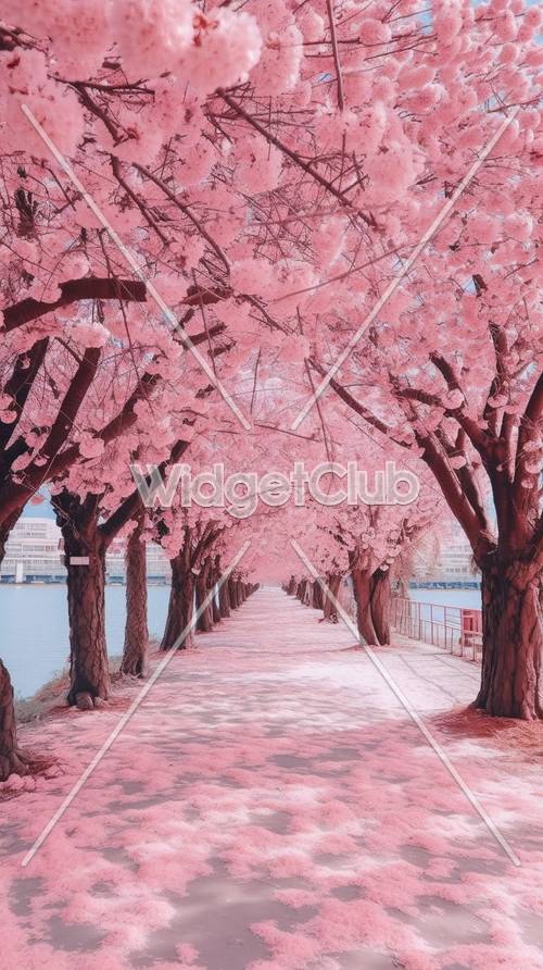 Jalur Bunga Sakura Merah Muda di Tepi Air