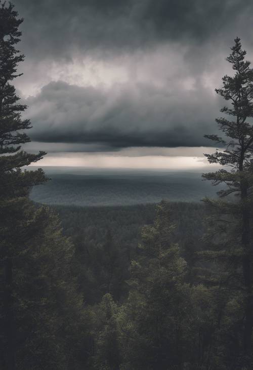 Ein weitläufiger Ausblick auf einen grauen Wald von einem Hügel aus, unter einem bewölkten, dramatischen Himmel kurz vor einem Sturm.
