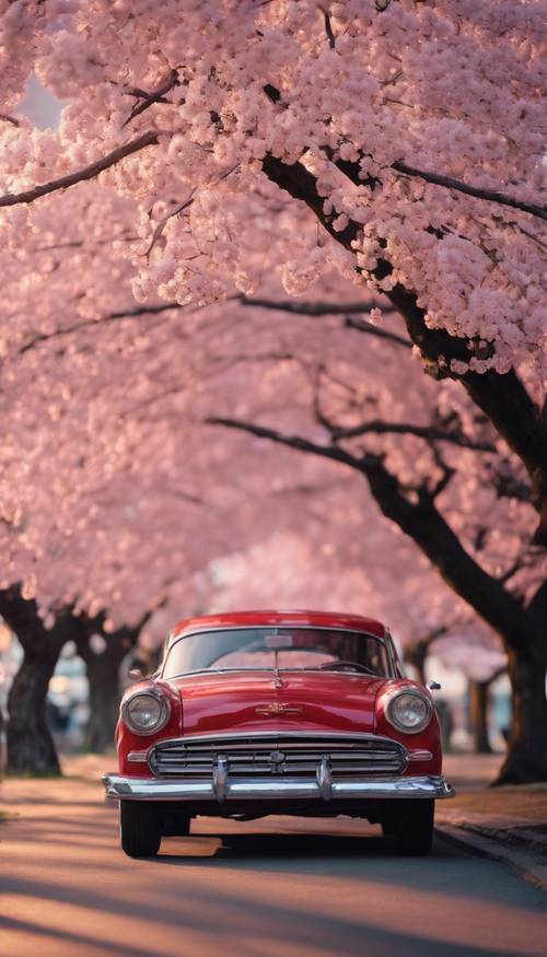 Une voiture vintage rose et rouge garée sous un cerisier en fleurs au crépuscule.