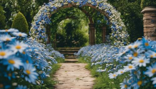 A garden archway adorned with climbing blue daisies.