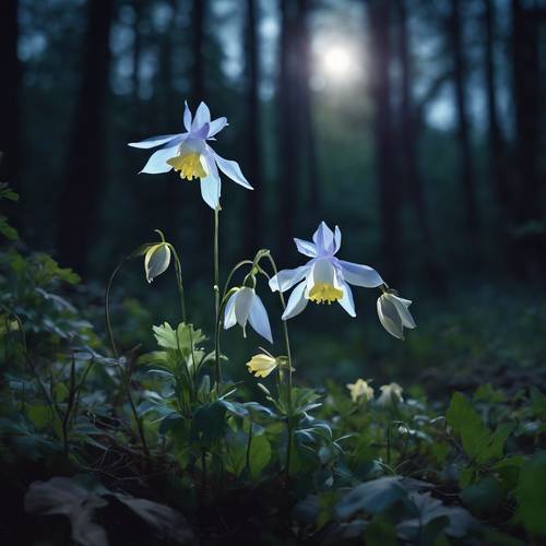 Magical scenery of luminescent columbine flowers glowing under the moonlight in a darkened forest.