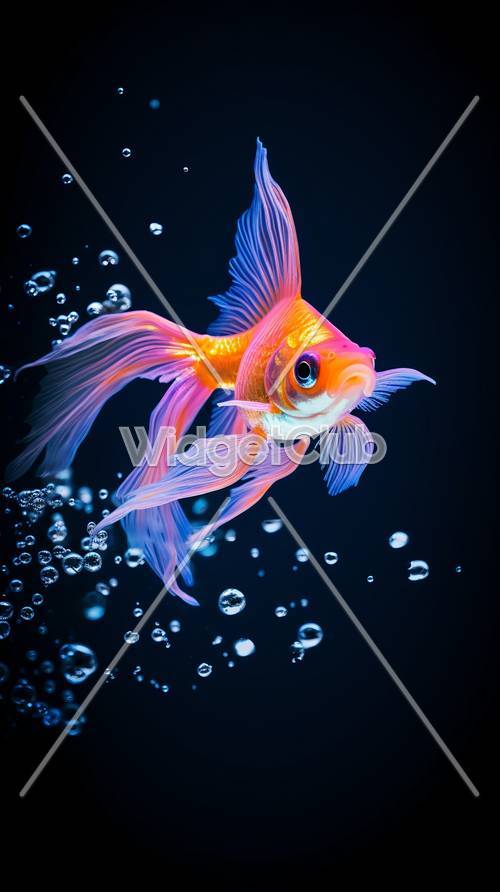 明るいオレンジ色の魚が泡の中をプカプカ泳ぐ