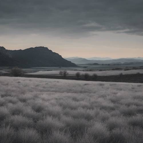 Uma paisagem pitoresca de ombre cinza, em transição de um primeiro plano mais escuro para um horizonte mais claro.