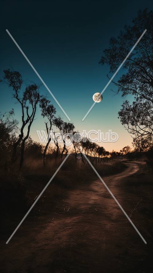 Moonlit Path Through the Woods Wallpaper[eab94fd5f27842bab085]